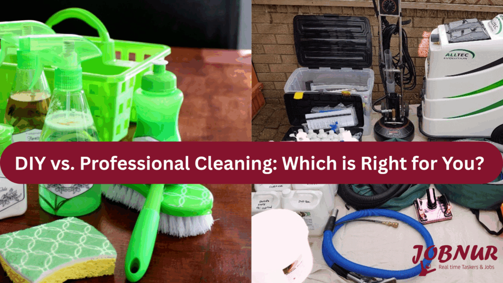 DIY vs. Professional Cleaning
